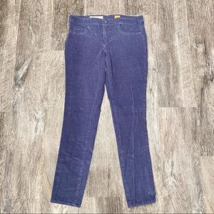 Pilcro and the Letterpress Blue Corduroy Jeans in Size 29